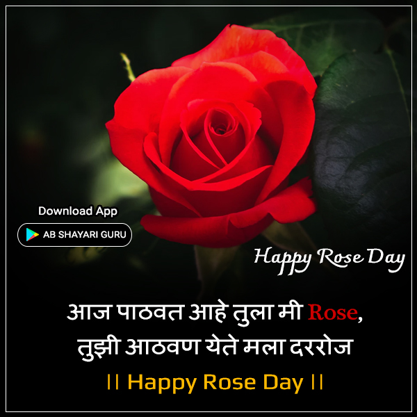 happy rose day wishes in marathi