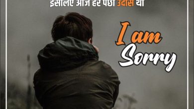 i-am-sorry-status-in-hindi-2023